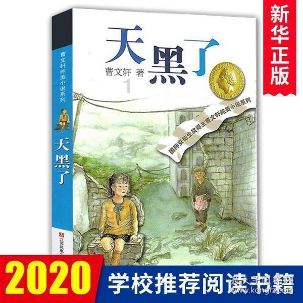 贝儿公主的晚礼服